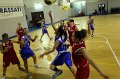 Basket 443026